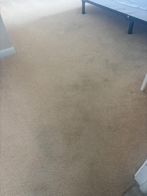 Carpeting guest bedroom