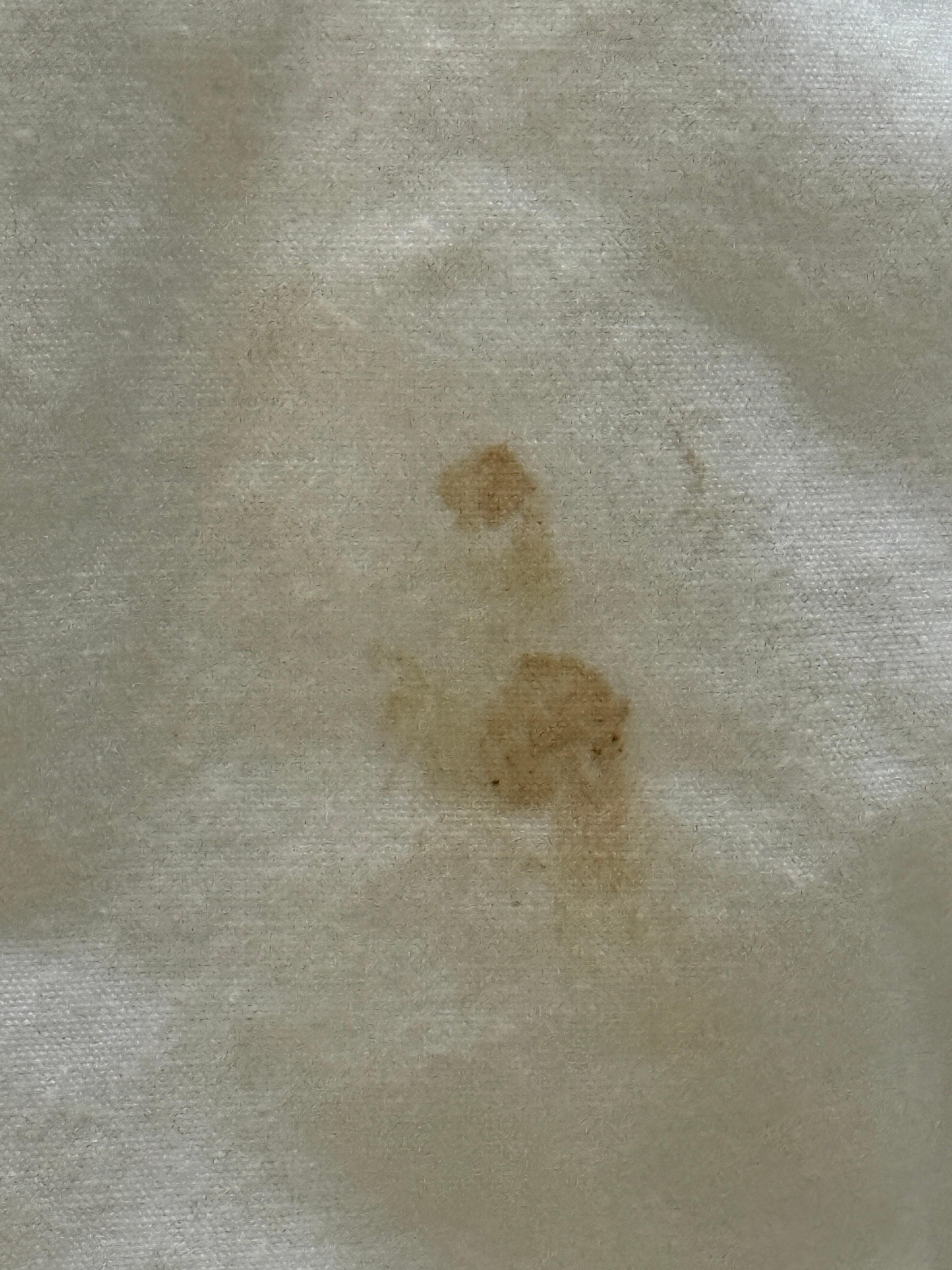 Fecal stains