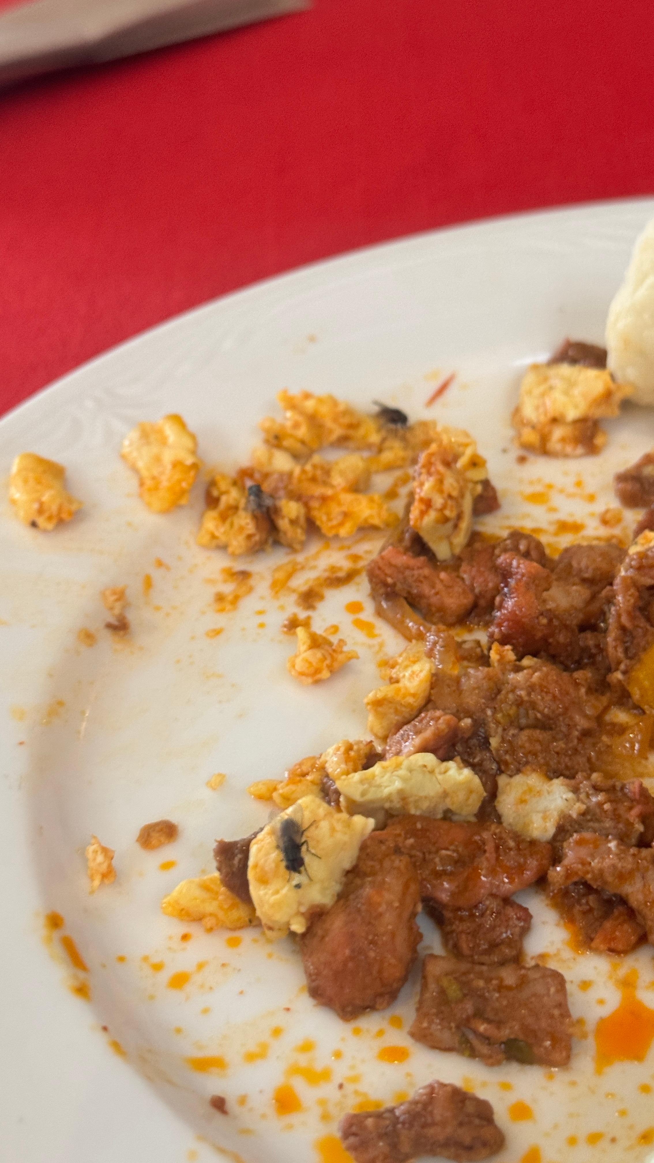 Problema serio de plaga de moscas