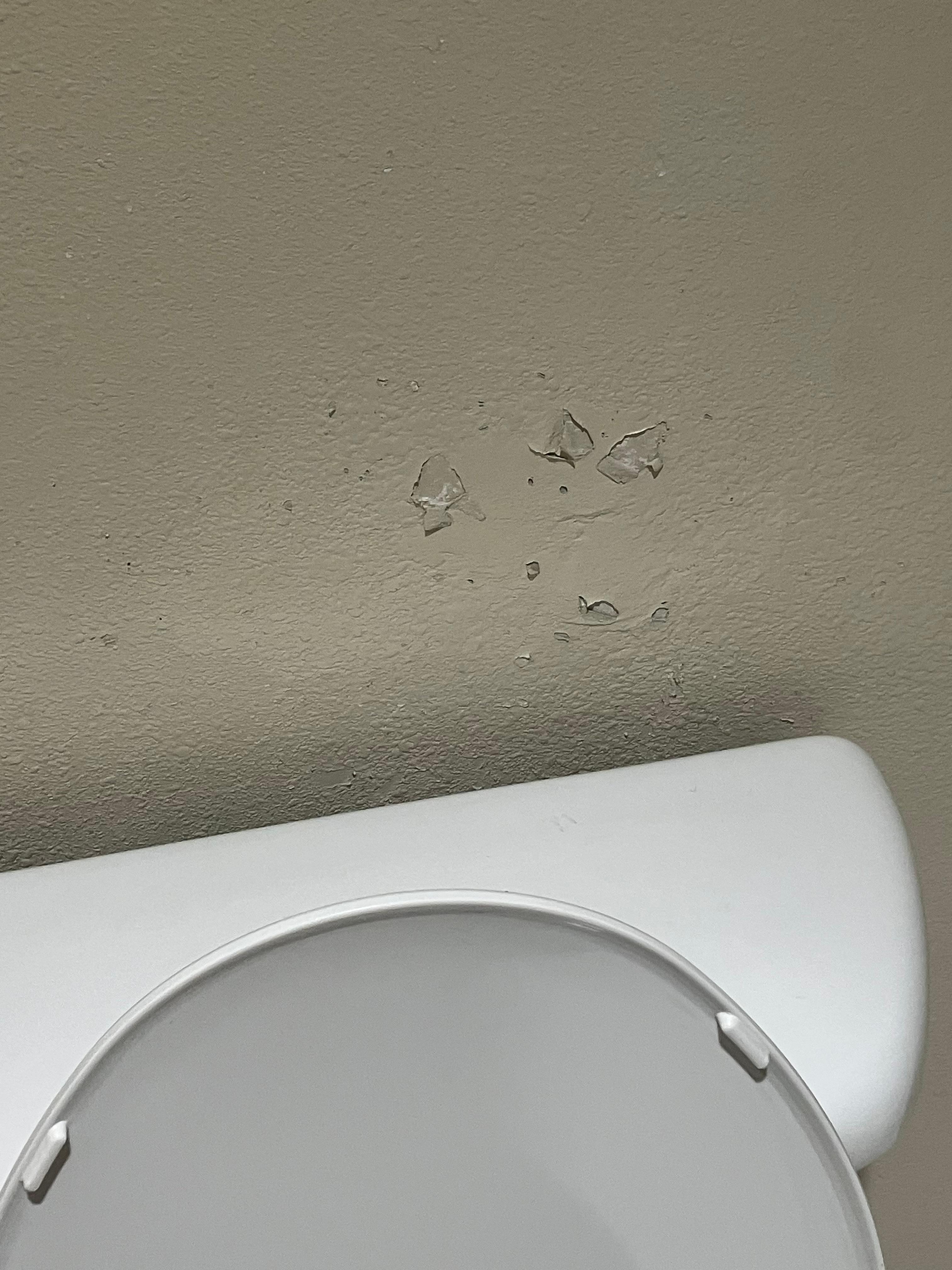 Peeling paint everywhere 