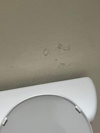 Peeling paint everywhere