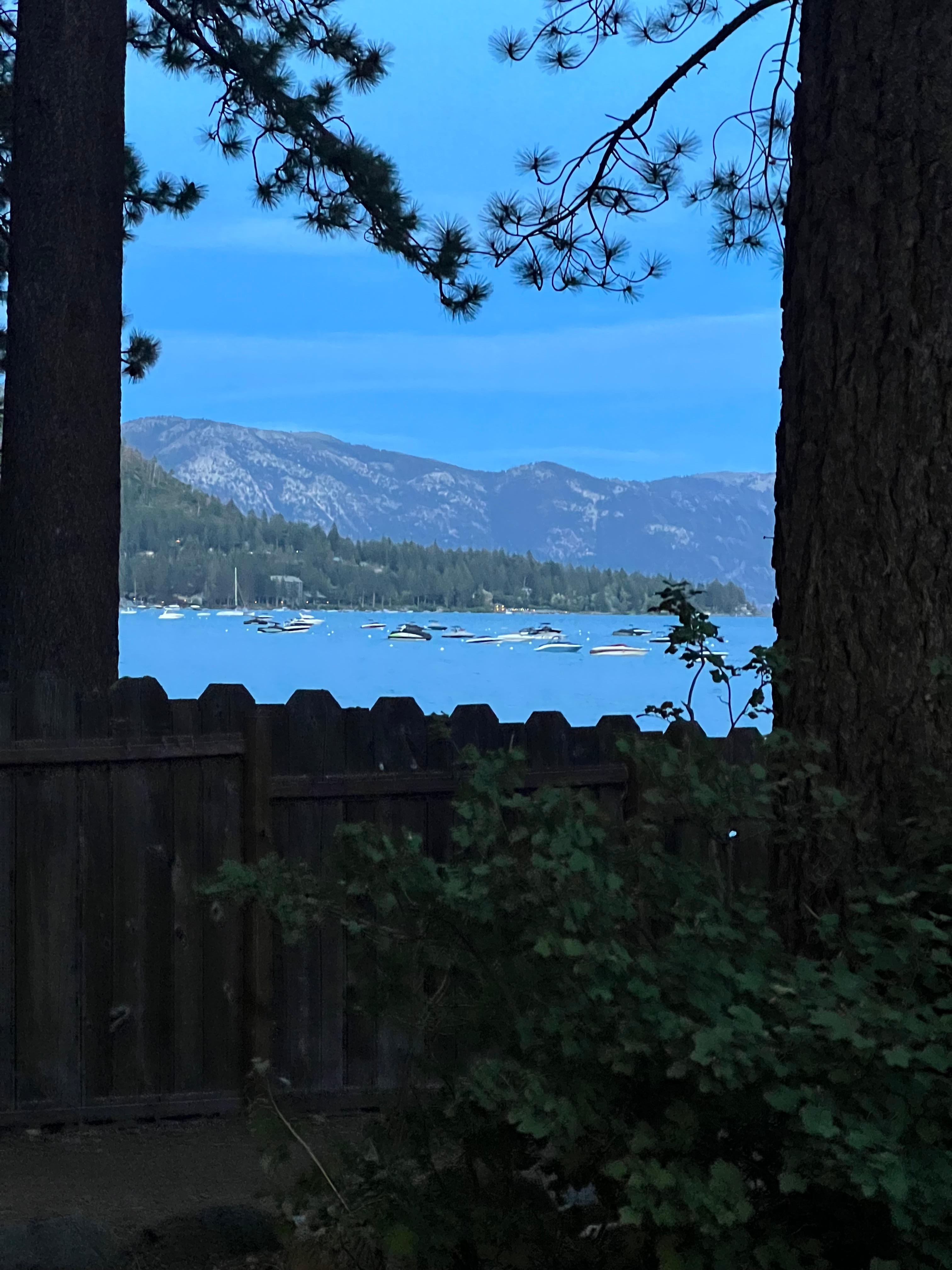 View from the kitchen