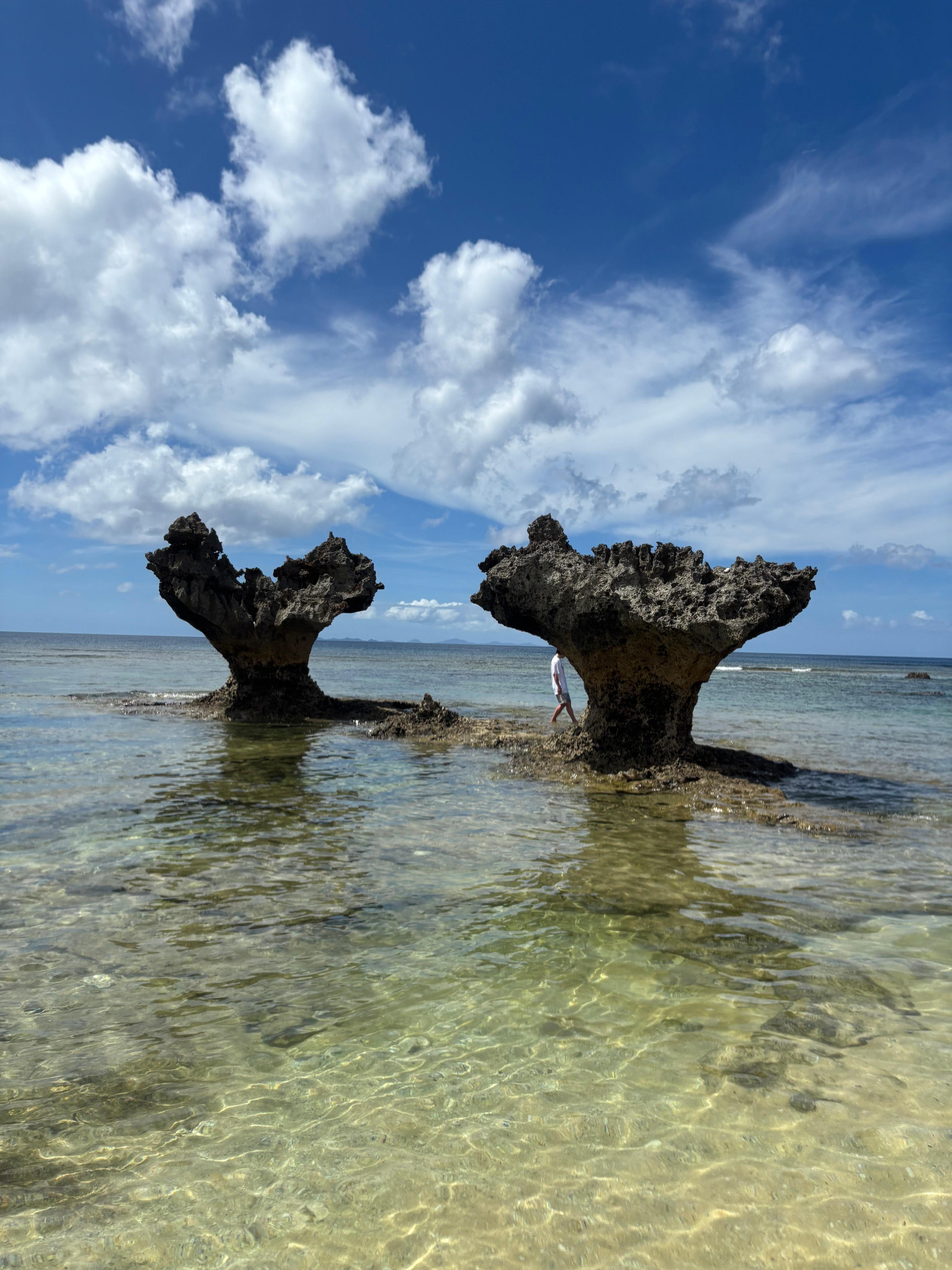 徒歩3分でこの絶景！