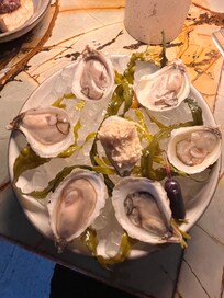 Hotel bar oysters