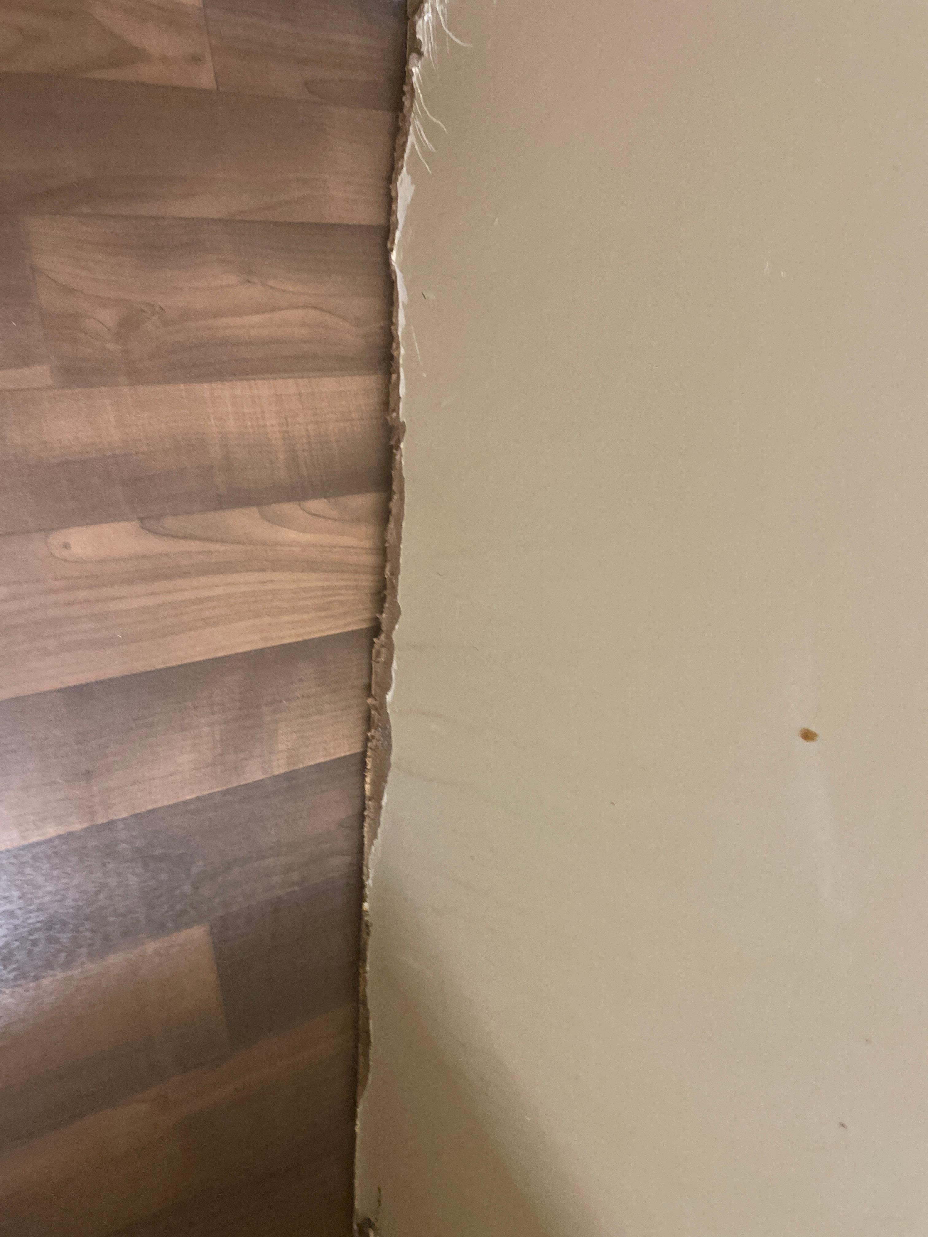 Bathroom door
