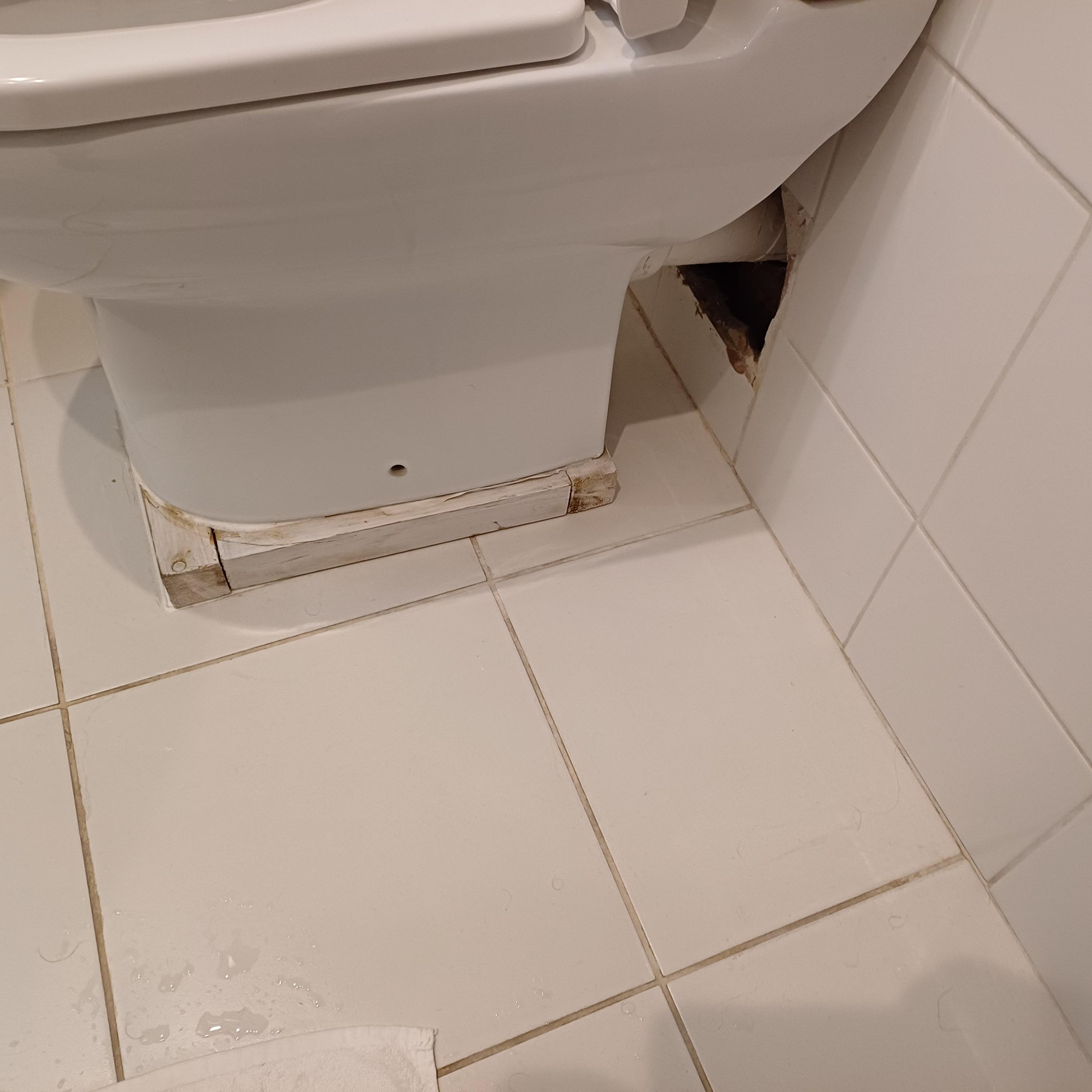 Unsightly toilet and tiling 