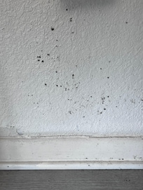 Under table on wall mold