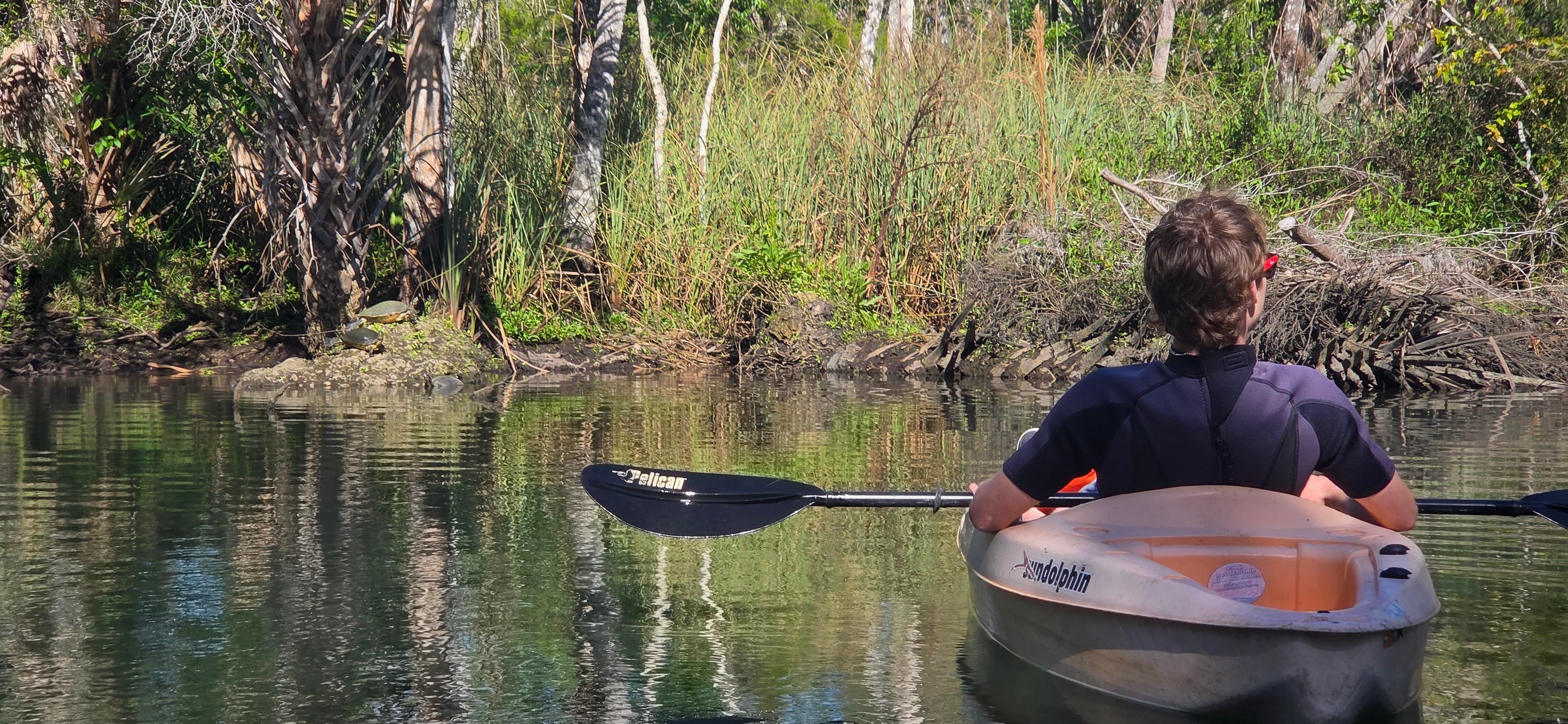 Right behind the house checking out turtles and manatees 
