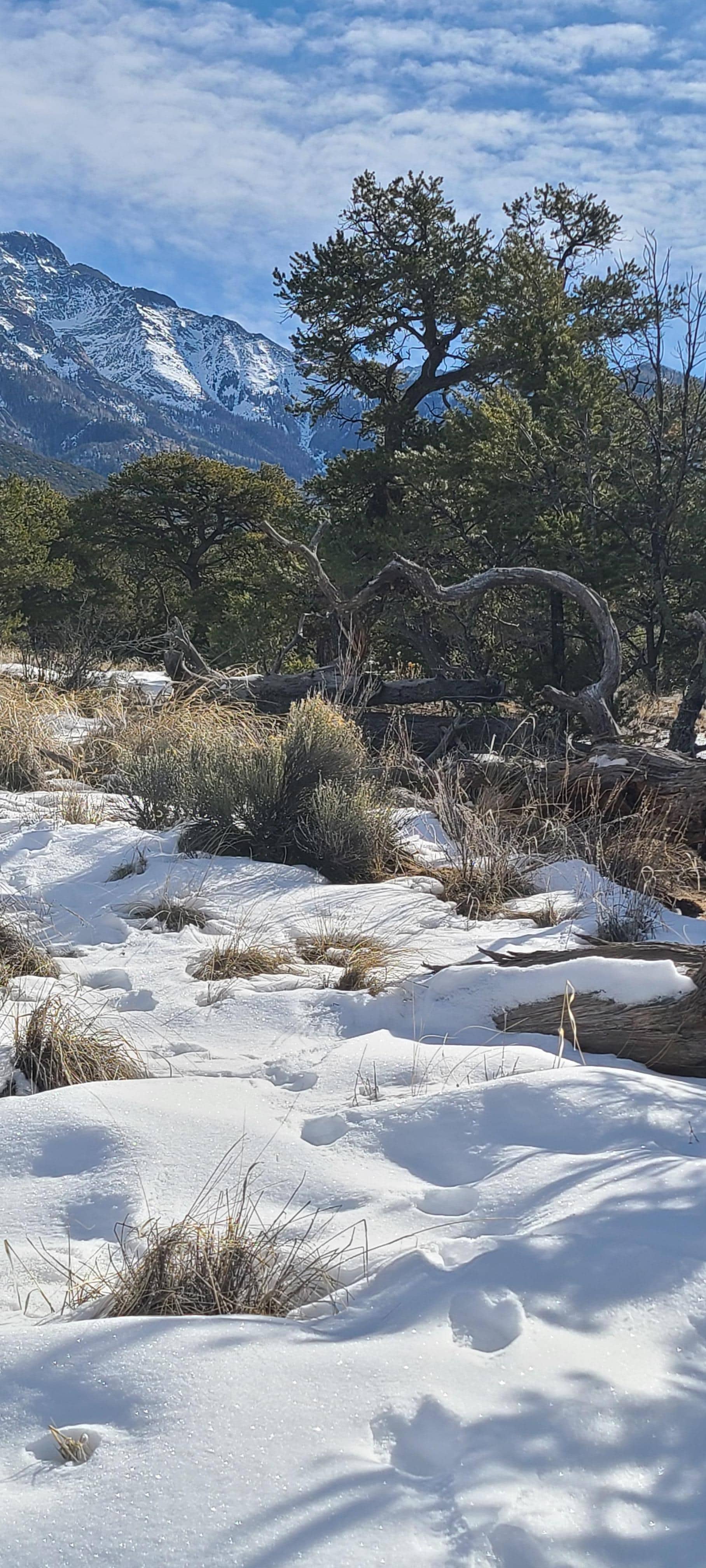 Half heart with mountain view