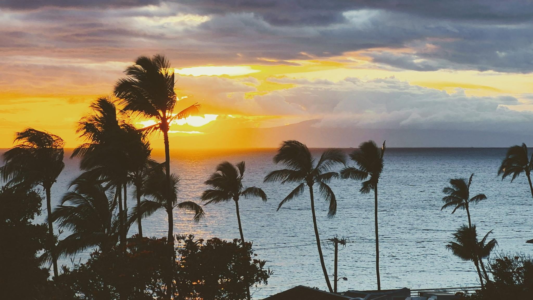 Every night was gorgeous! 