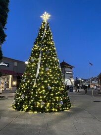 Bloomingdale’s tree at the outlets within walking distance to the hotel.