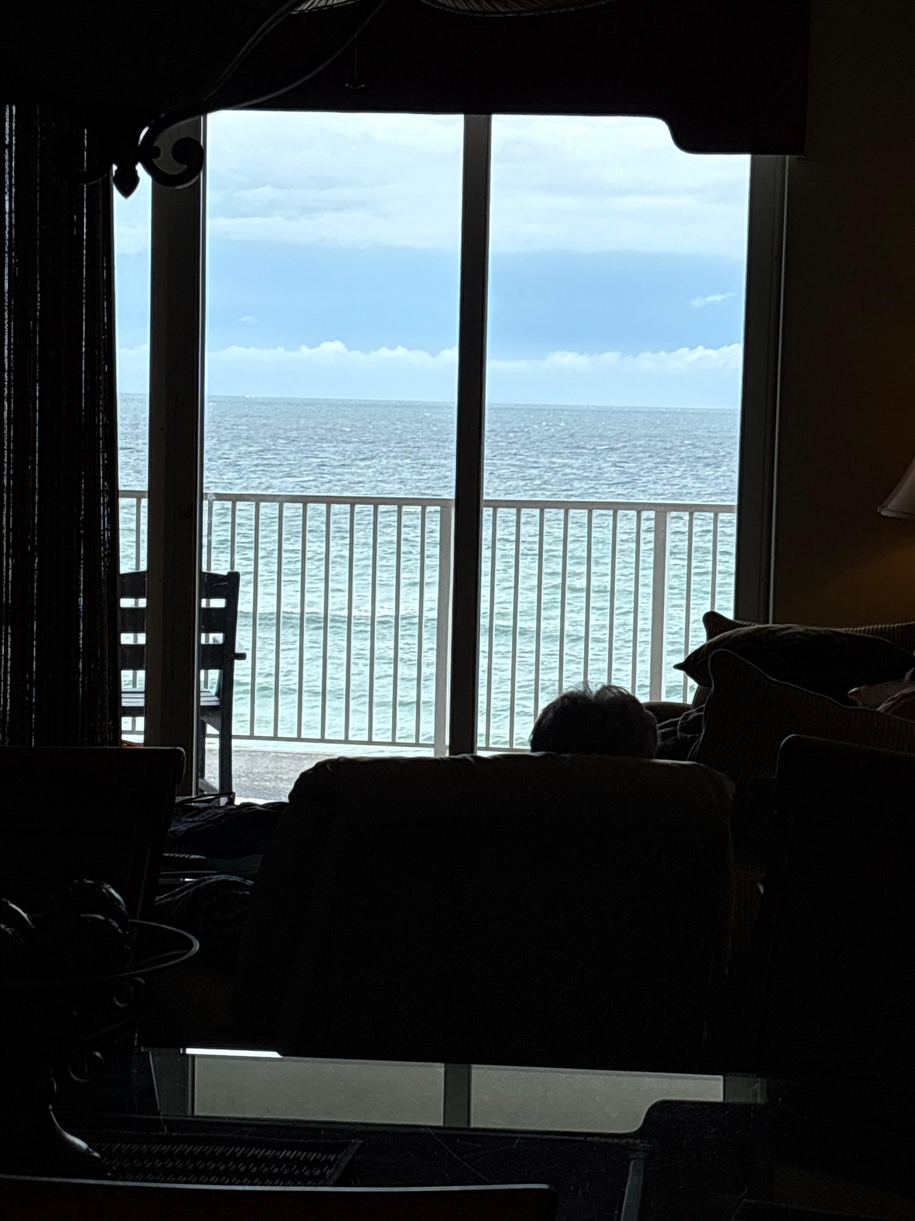 View from kitchen 