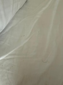 Dirt, Bugs, Hair