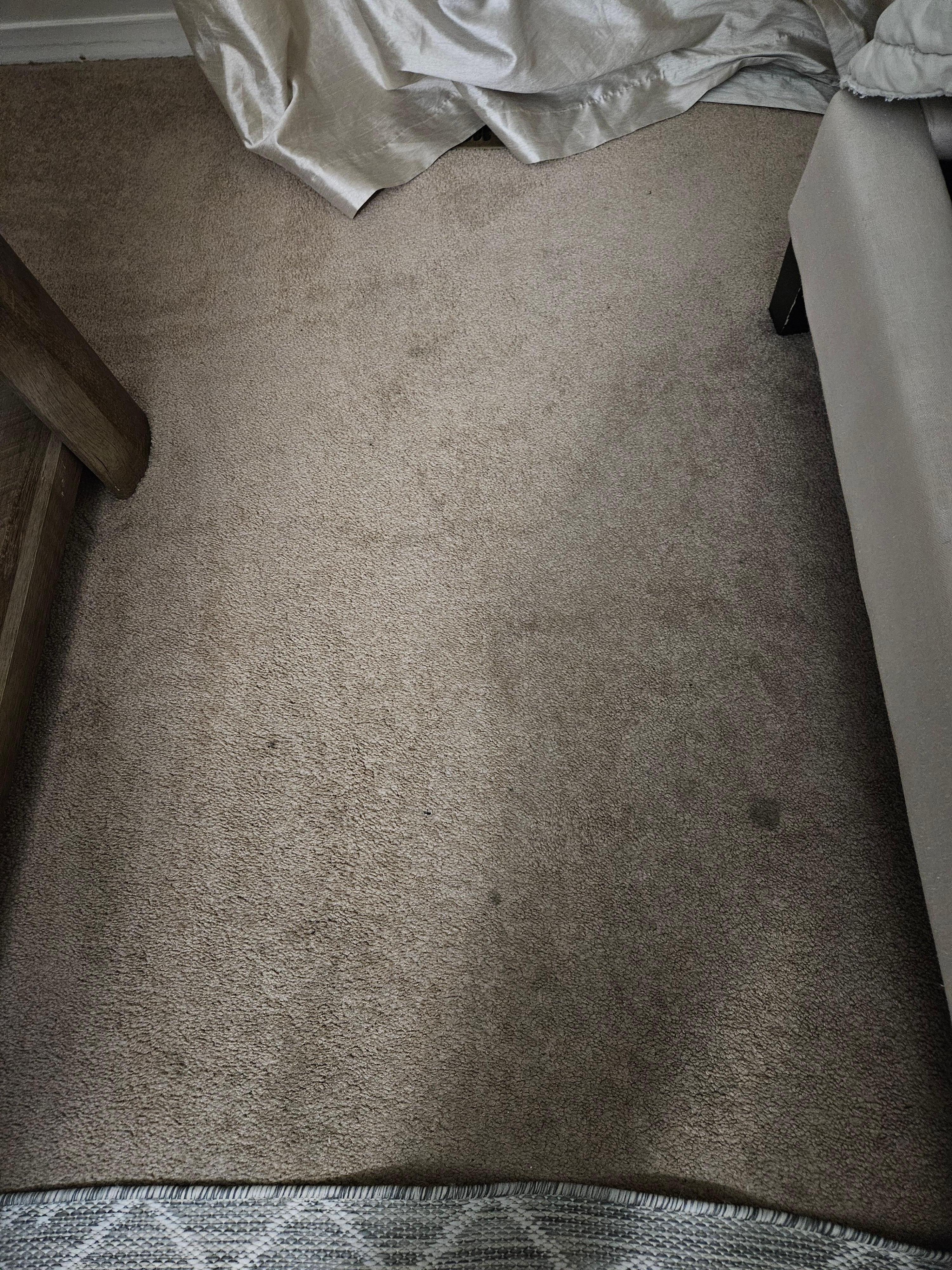 Carpet not covered by a thin rug to hide stains.