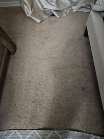 Carpet not covered by a thin rug to hide stains.