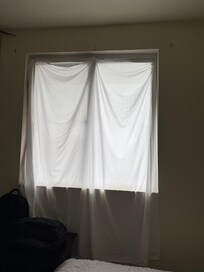 No Curtains, has to use a bed sheet for privacy