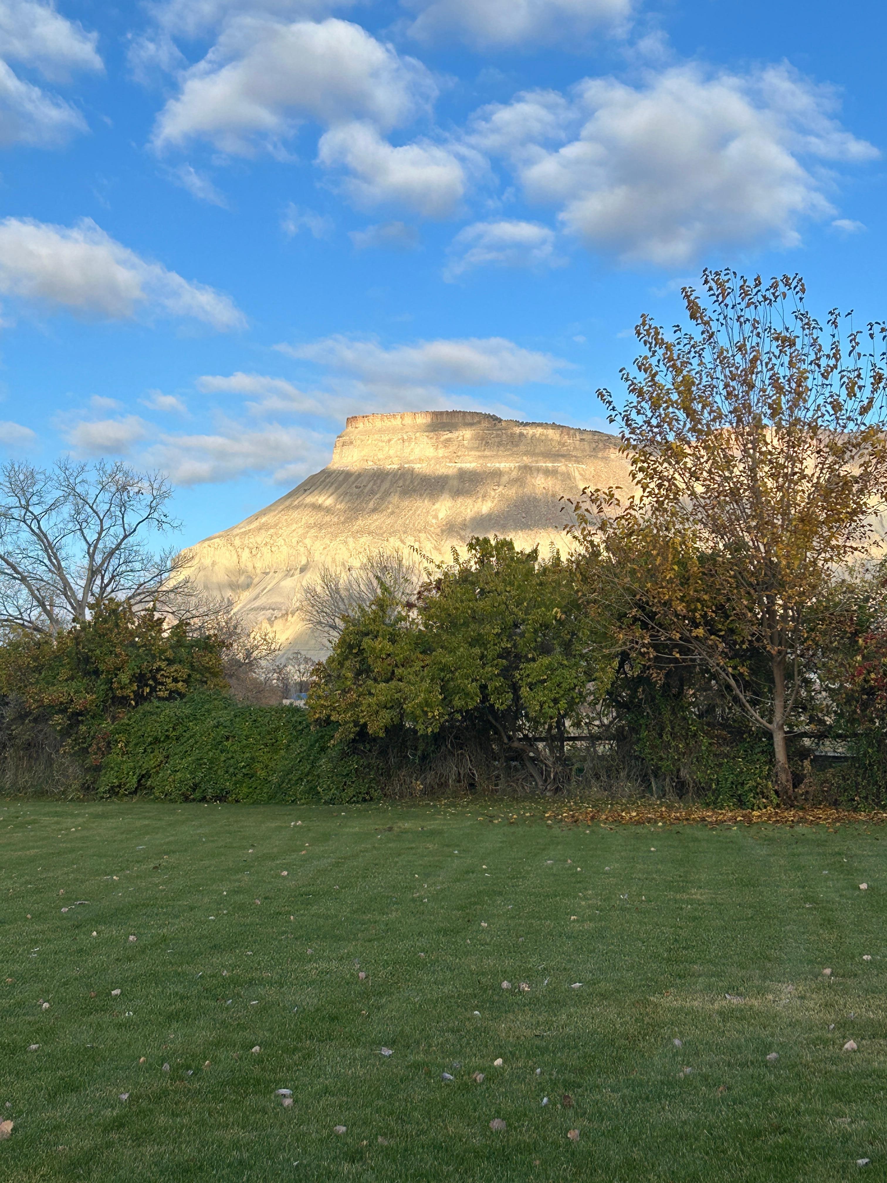 This is the morning view looking just out the door.