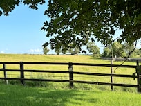 View from the driveway