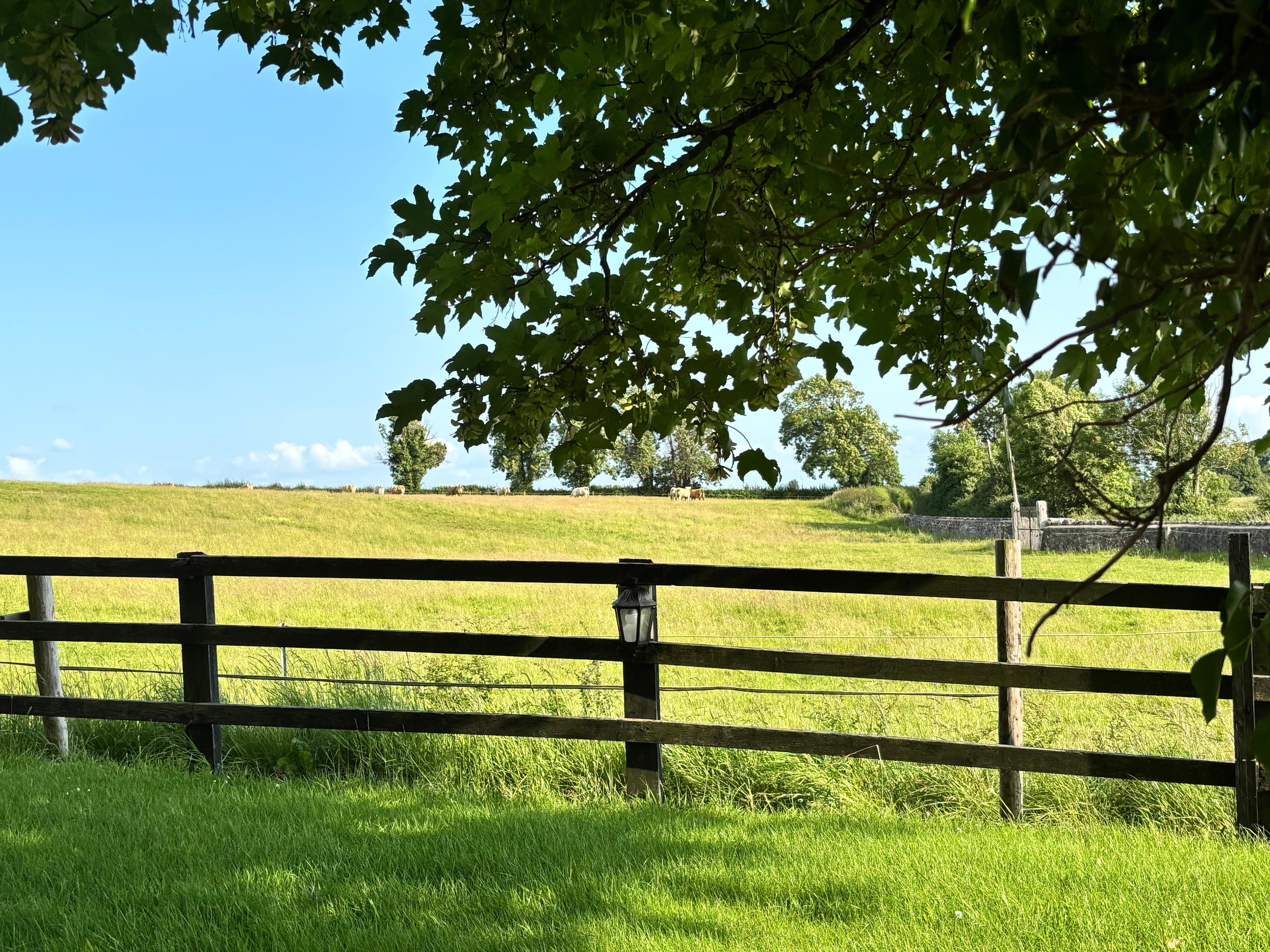 View from the driveway