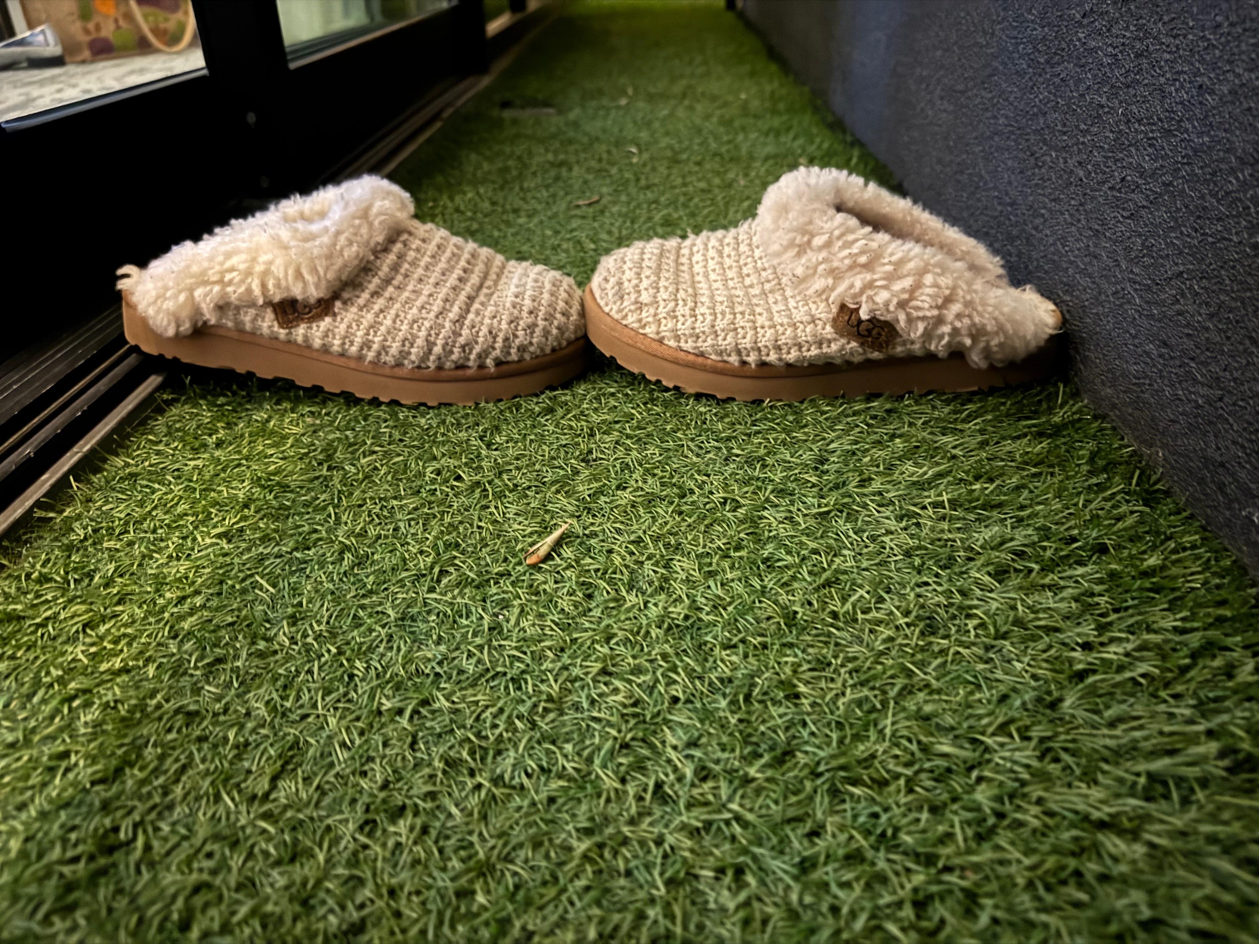 The “balcony” I paid extra to enjoy. 😜🙄😏