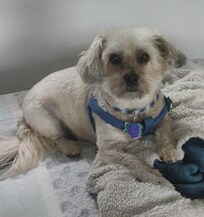 Pet friendly was an important plus for us