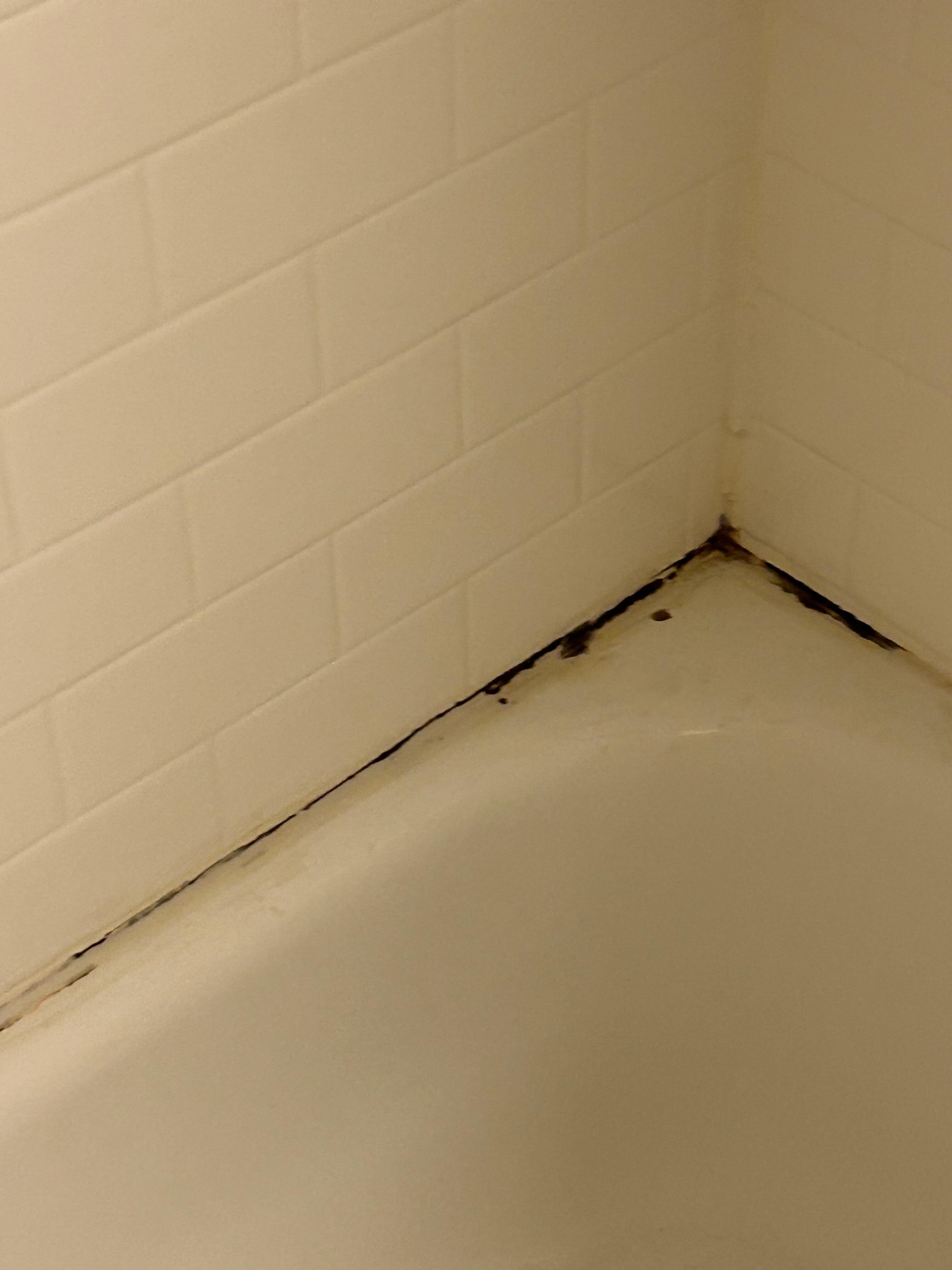 Bath tub/ shower