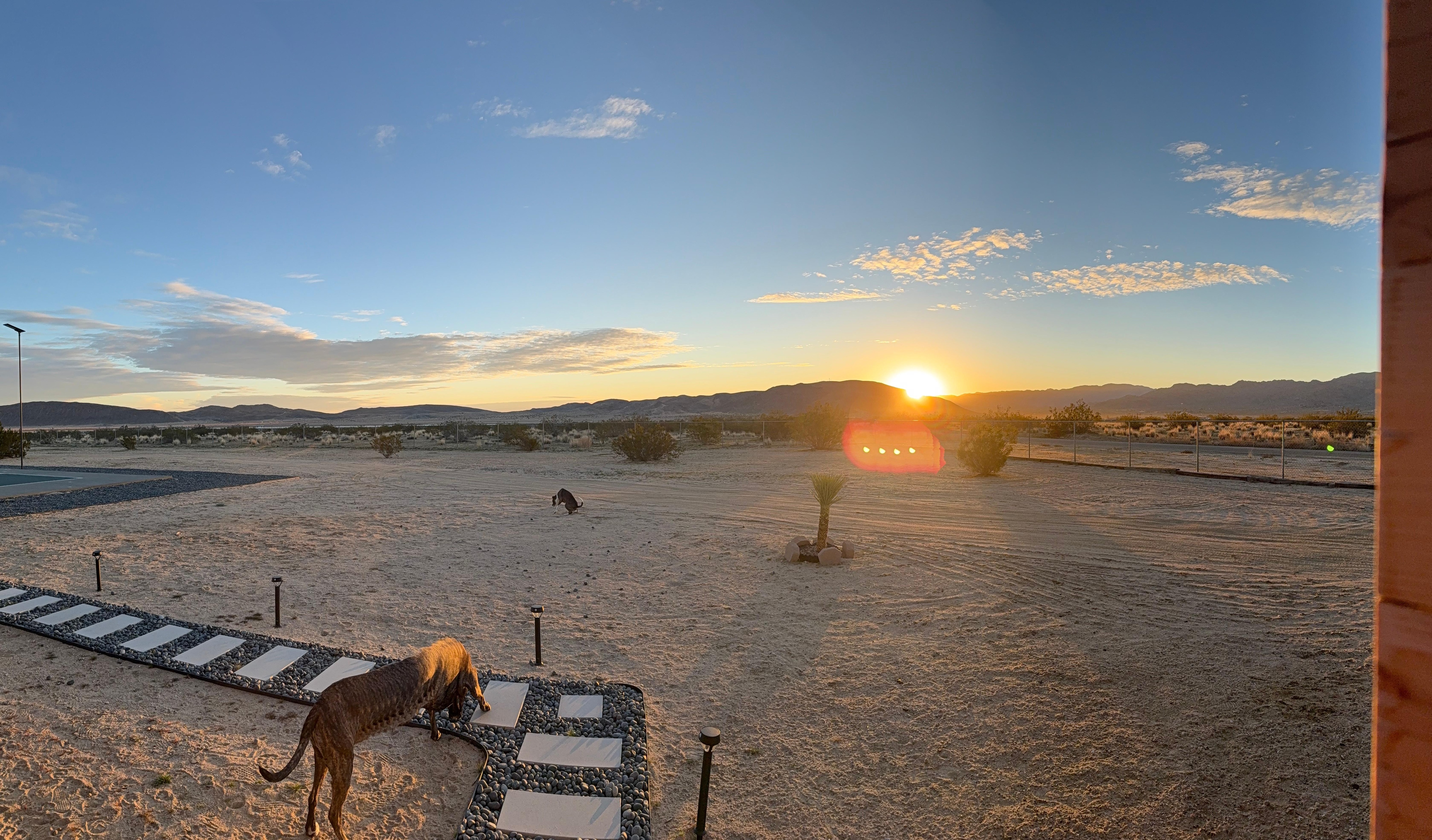 Pano made the dog look extra long, but great morning sunrise. 