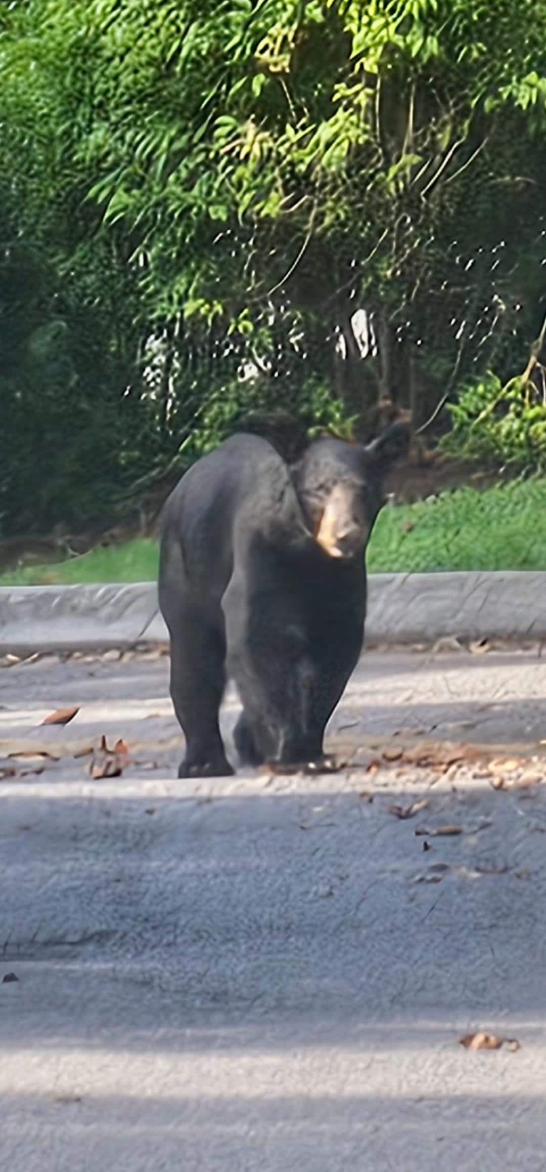 In front of the cabin