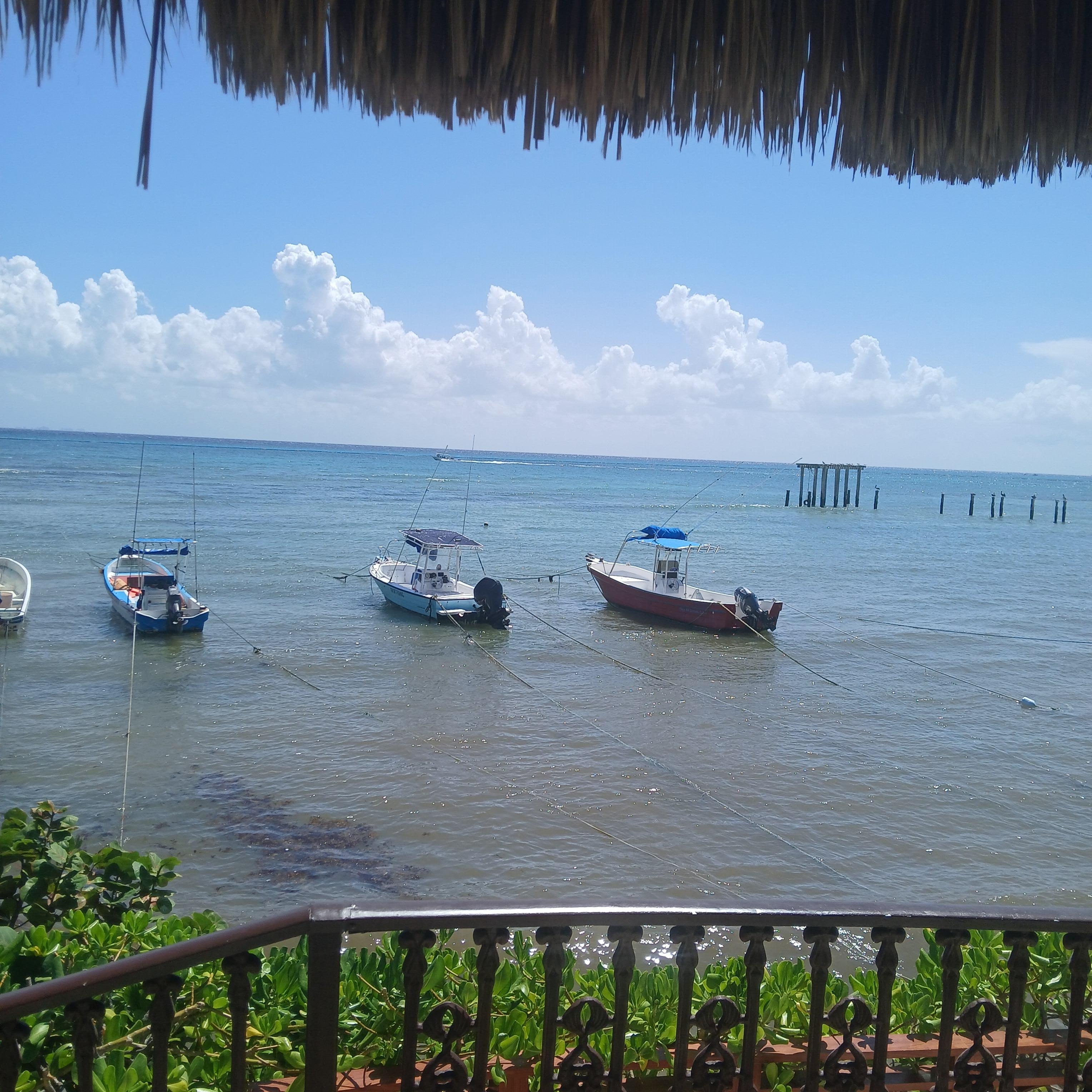 View of the sea from the room