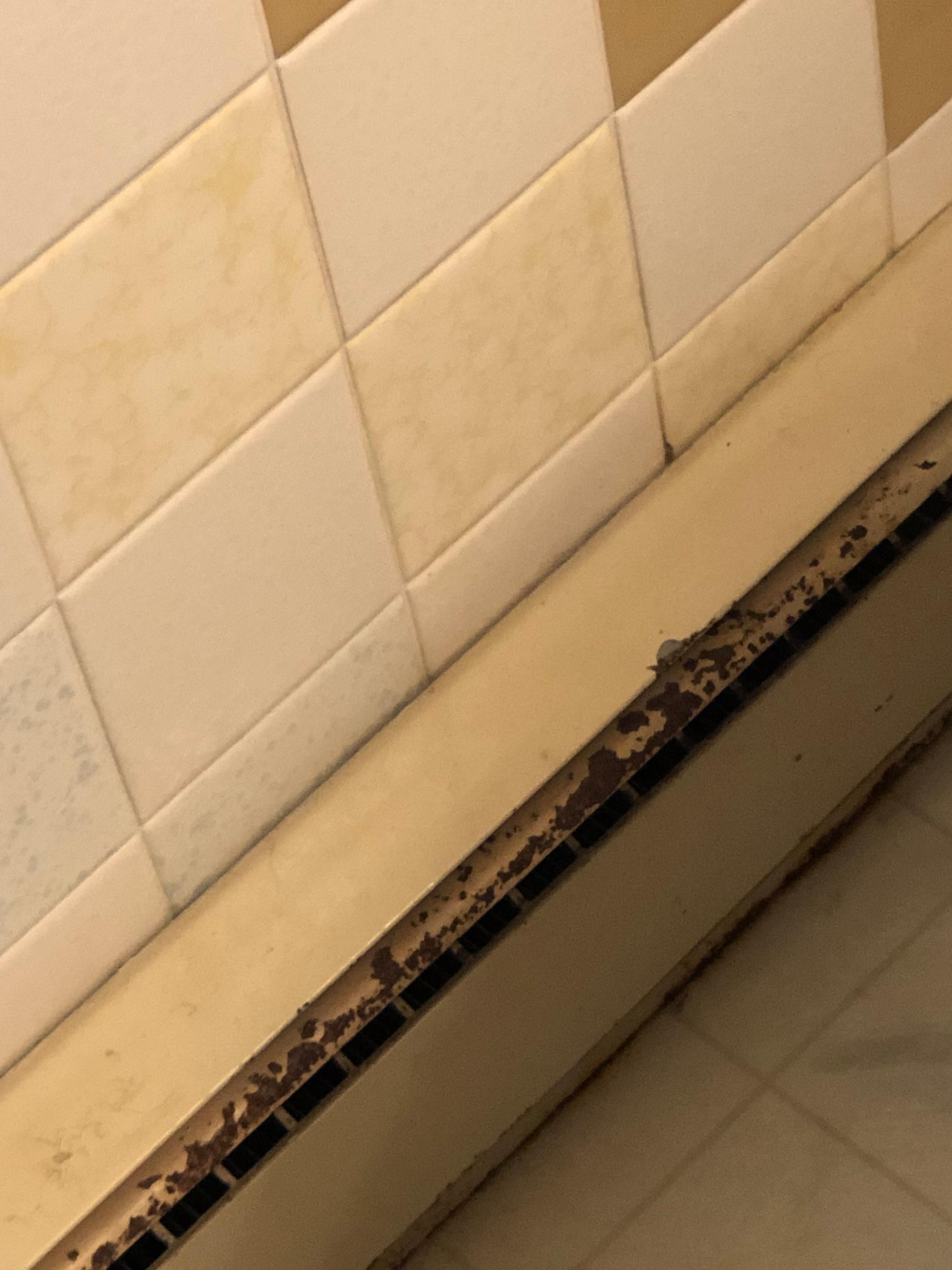 Radiator in bath has rust, needs to be cleaned and painted.