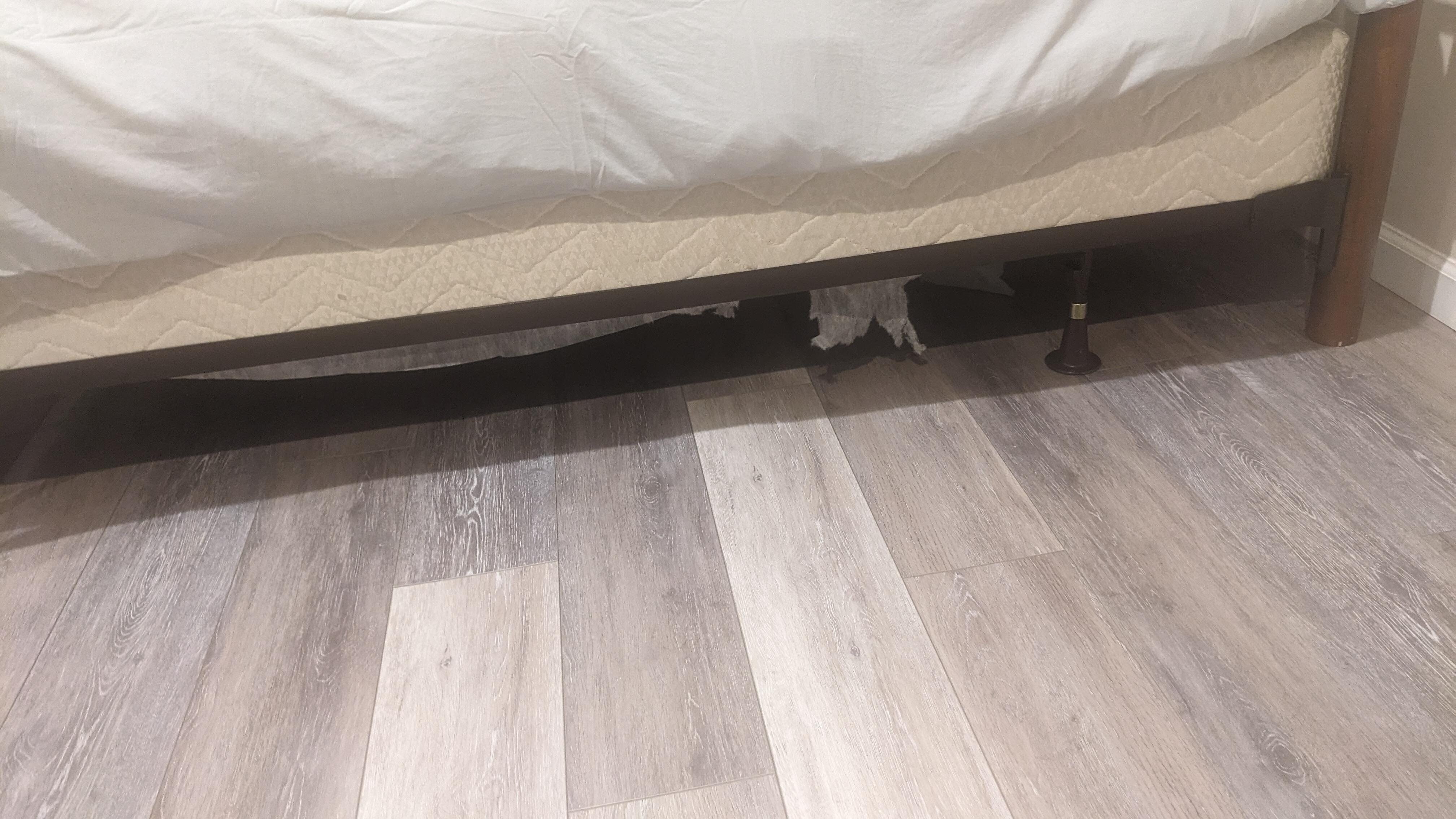 Underneath the bed.