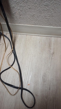 More dirt on the floor