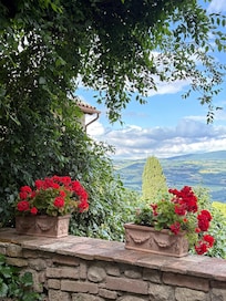 View from the patio.