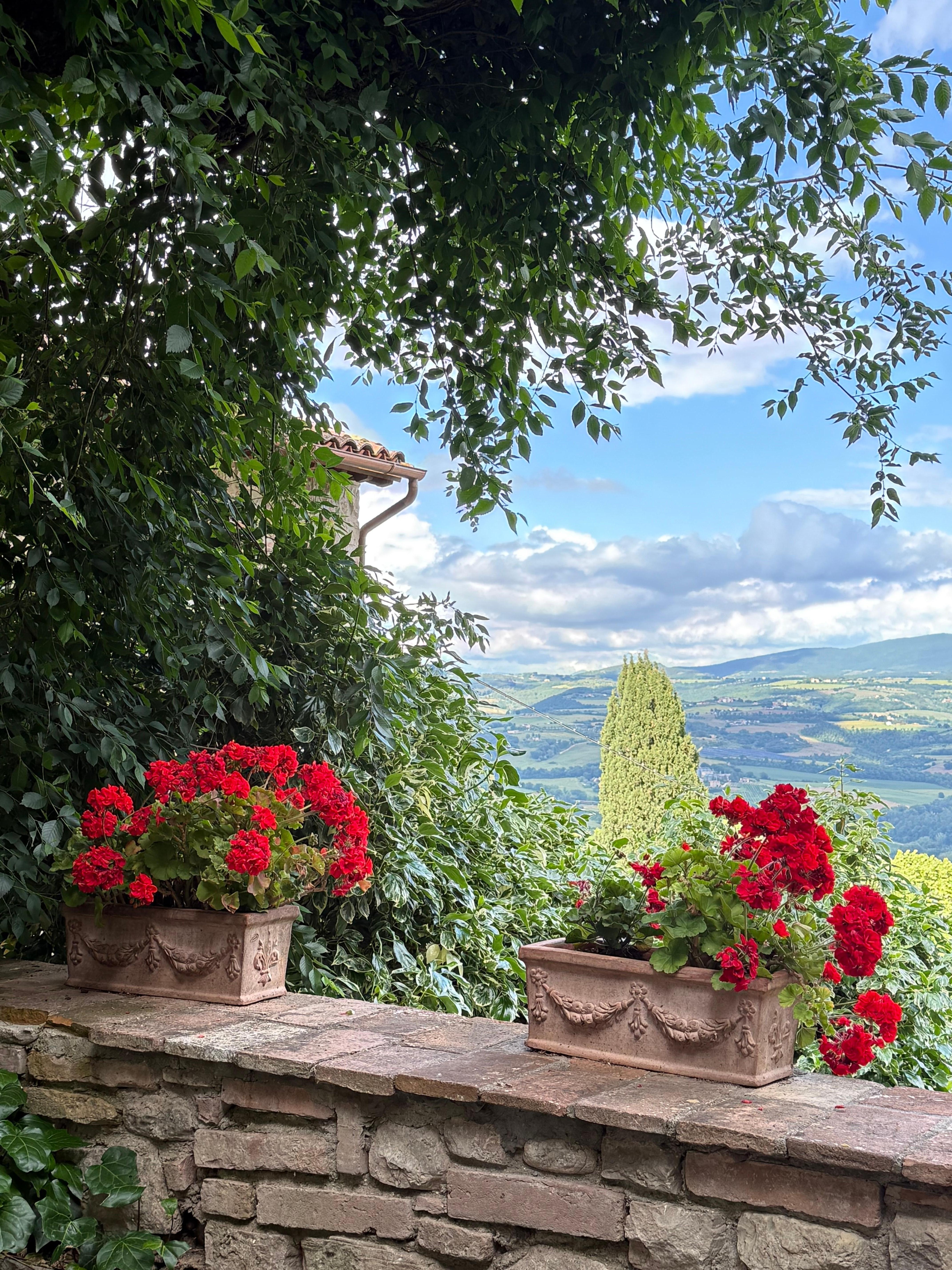 View from the patio.