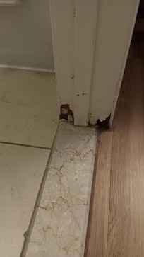 Bathroom doorjam.