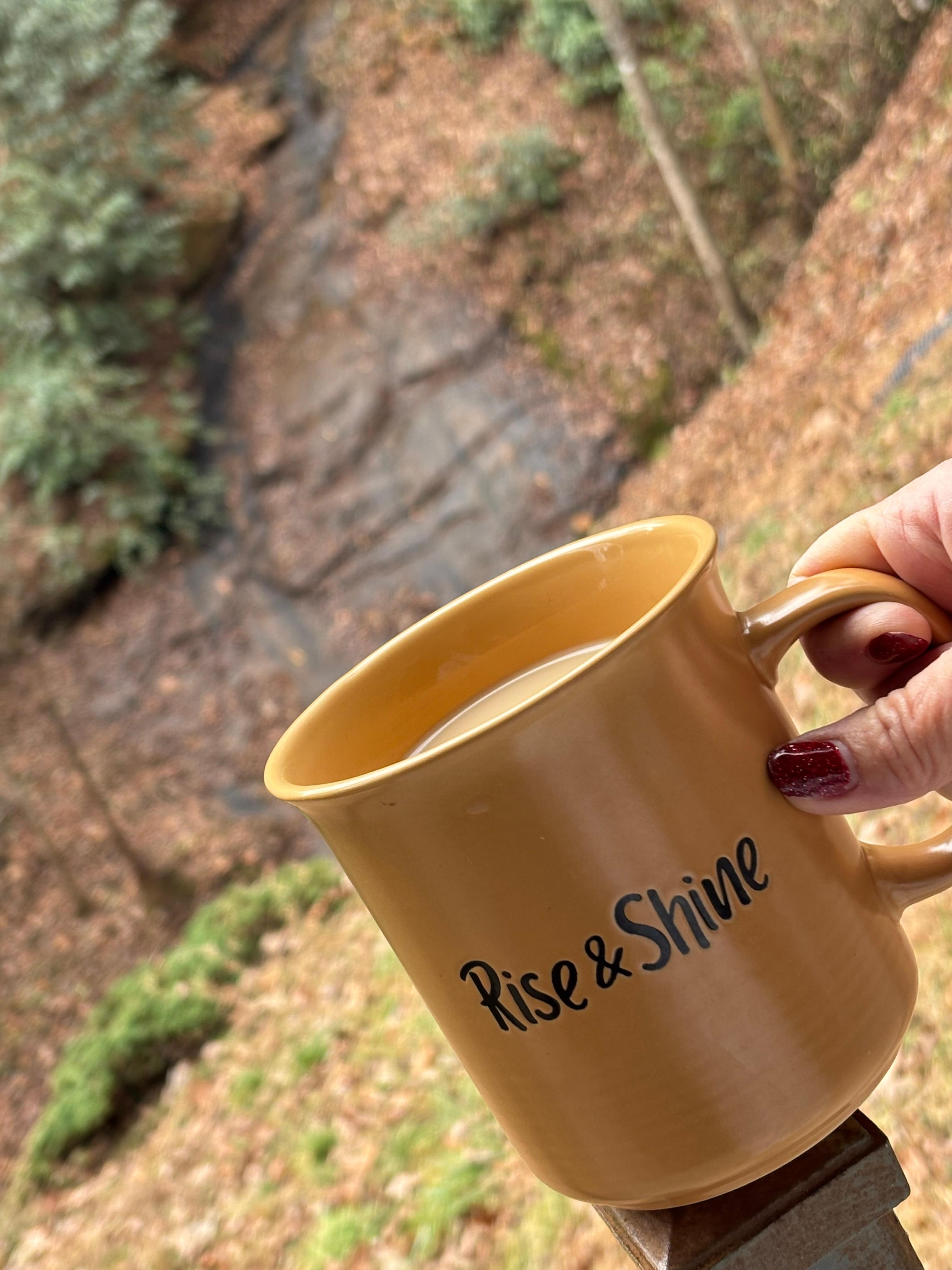 Stream Back Of Pavilion 