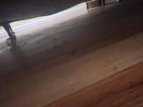 Dust under bed