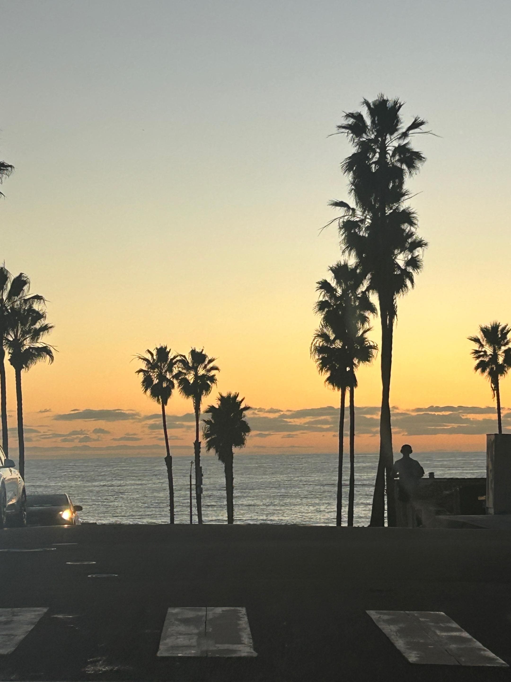 Oceanside coast adjacent to NCV 