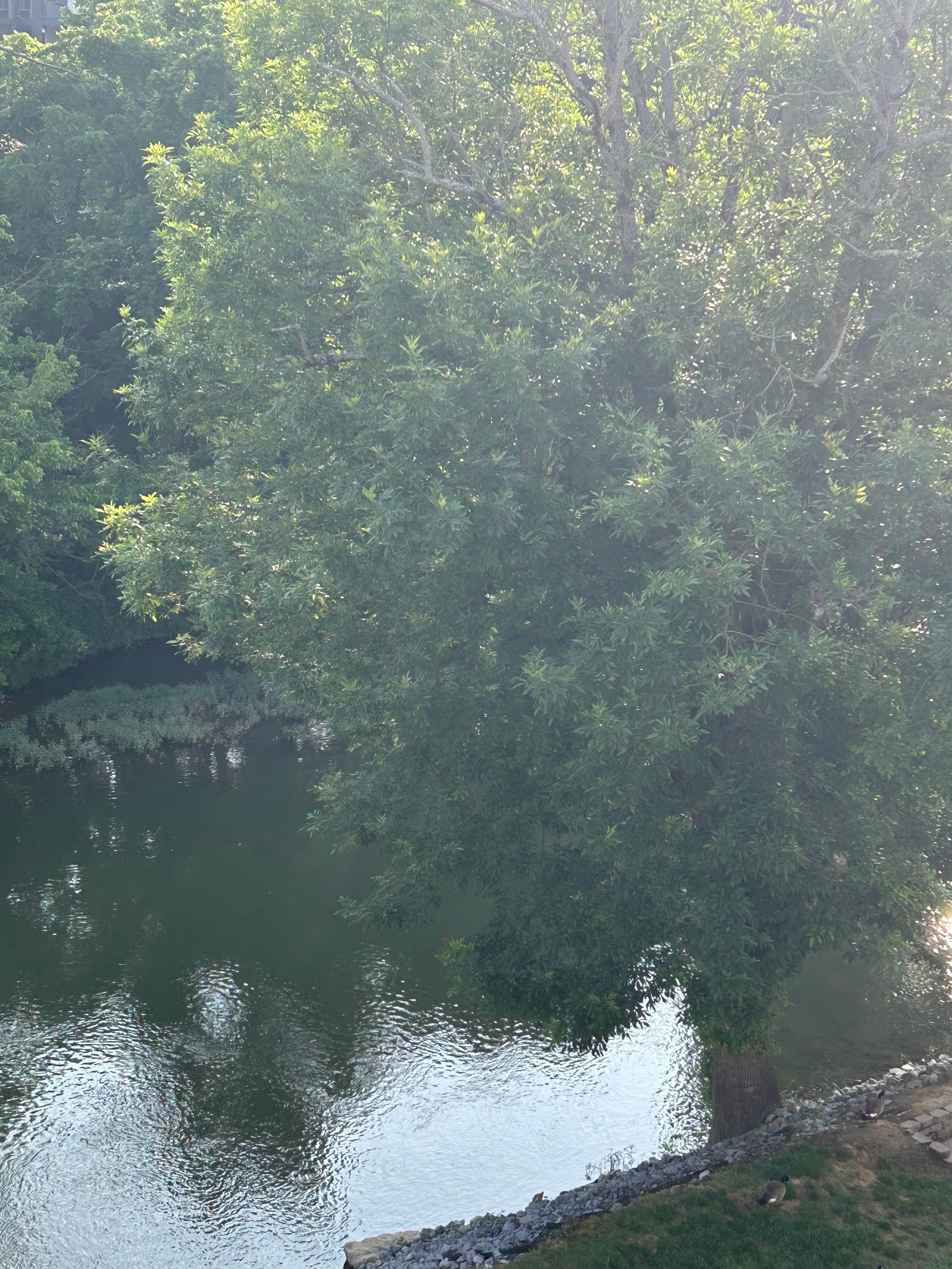 From our balcony 