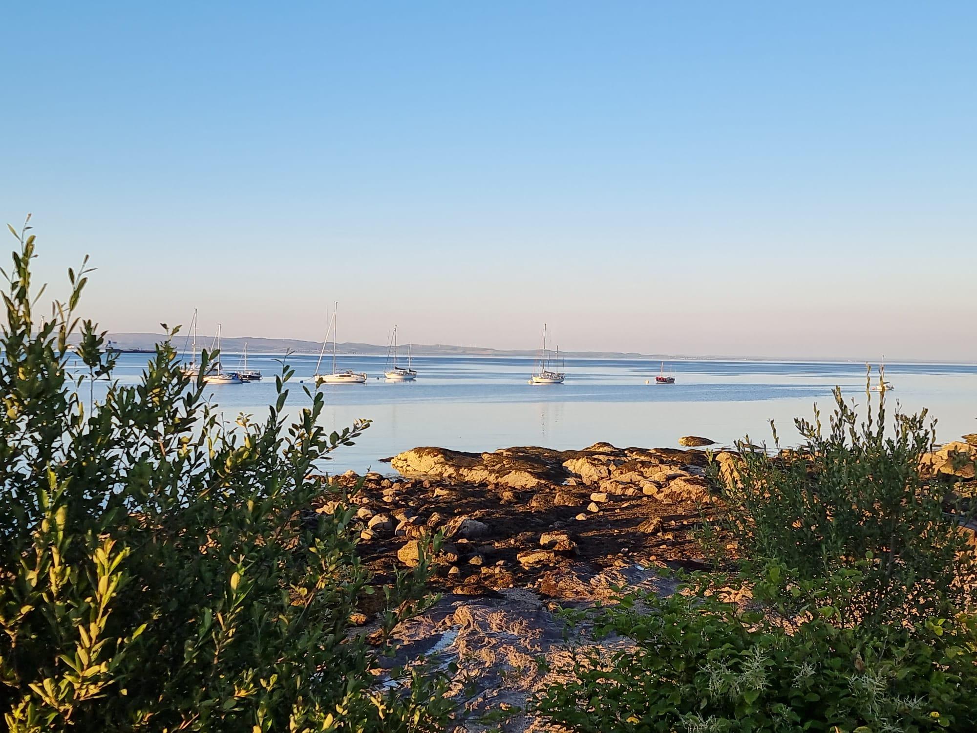 Ausblick aus dem Garten