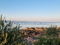 Ausblick aus dem Garten