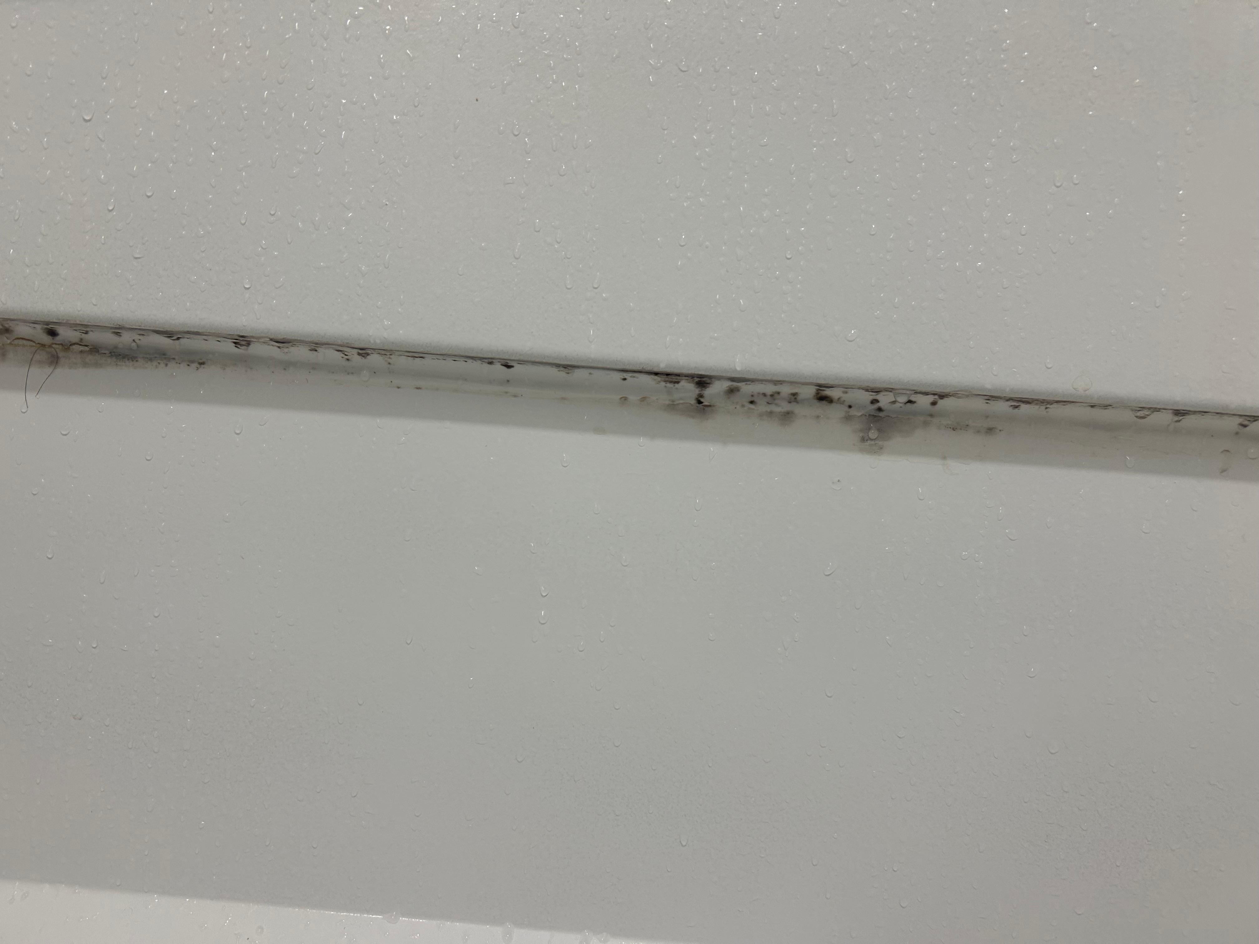 Mold in shower.
