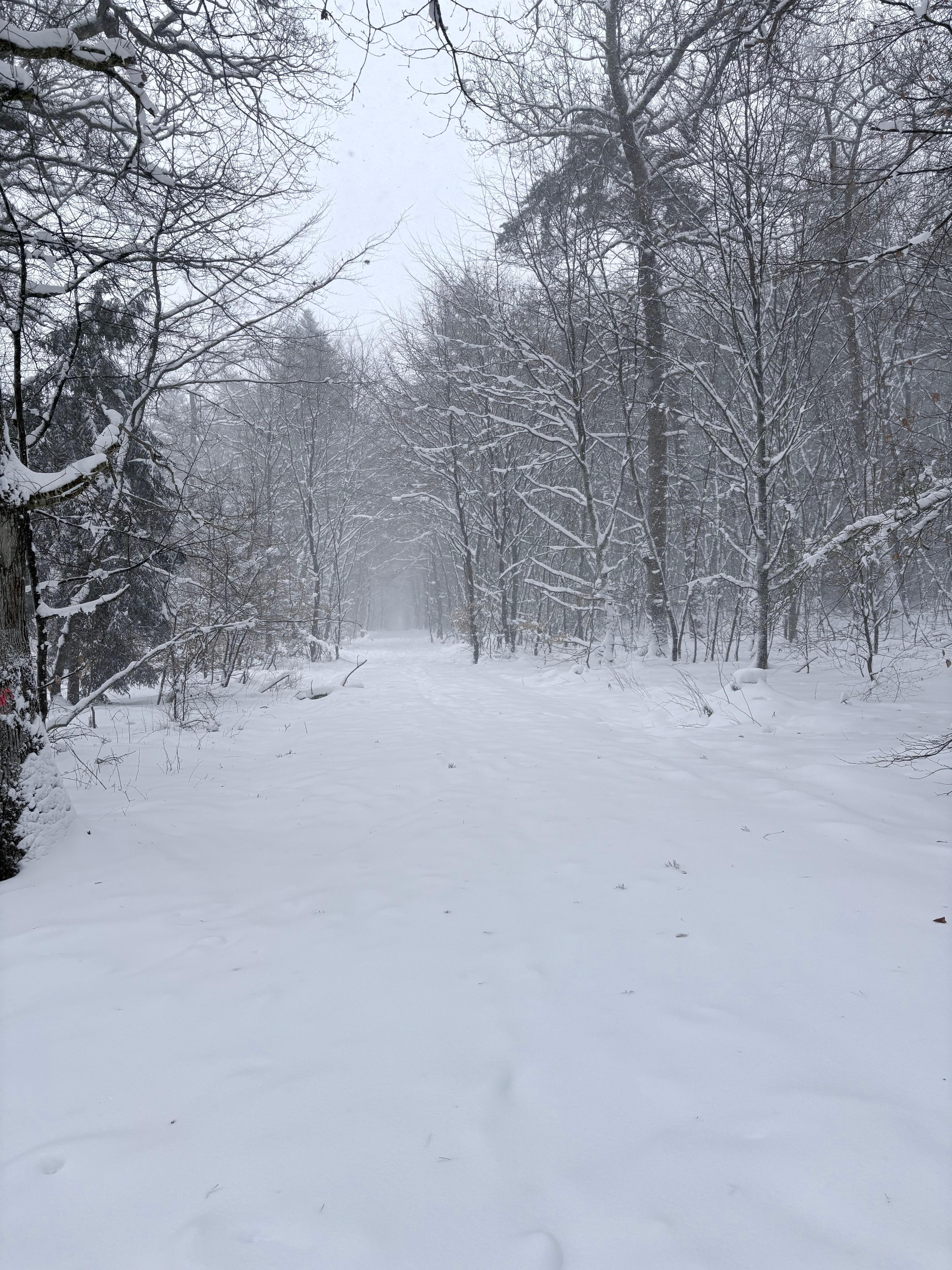 So schön kann Winter 