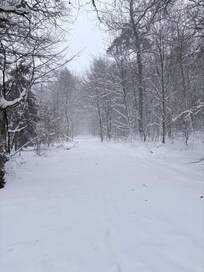 So schön kann Winter