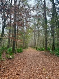 One of the trails