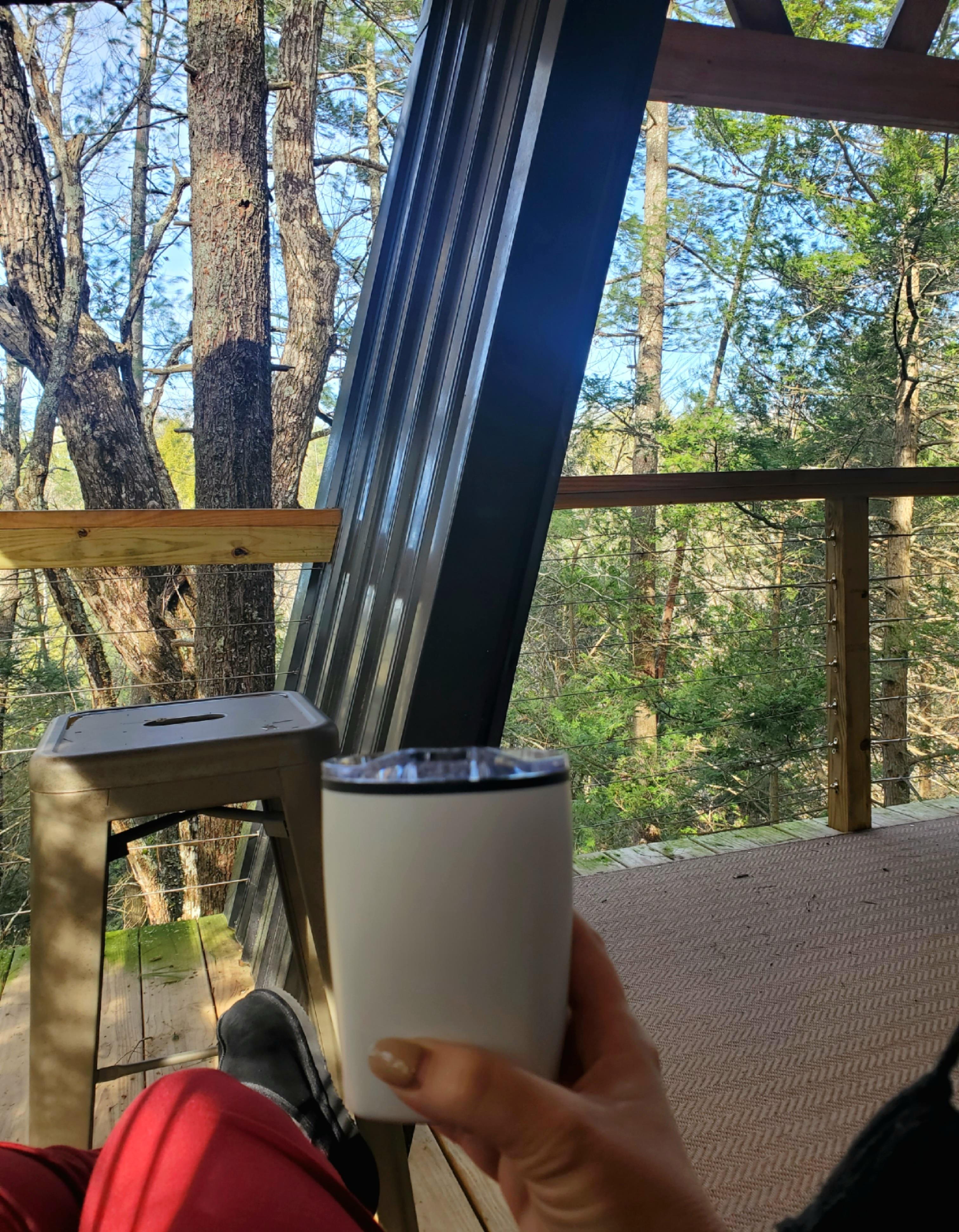 Mornings are better with a Wolf Pup view! 