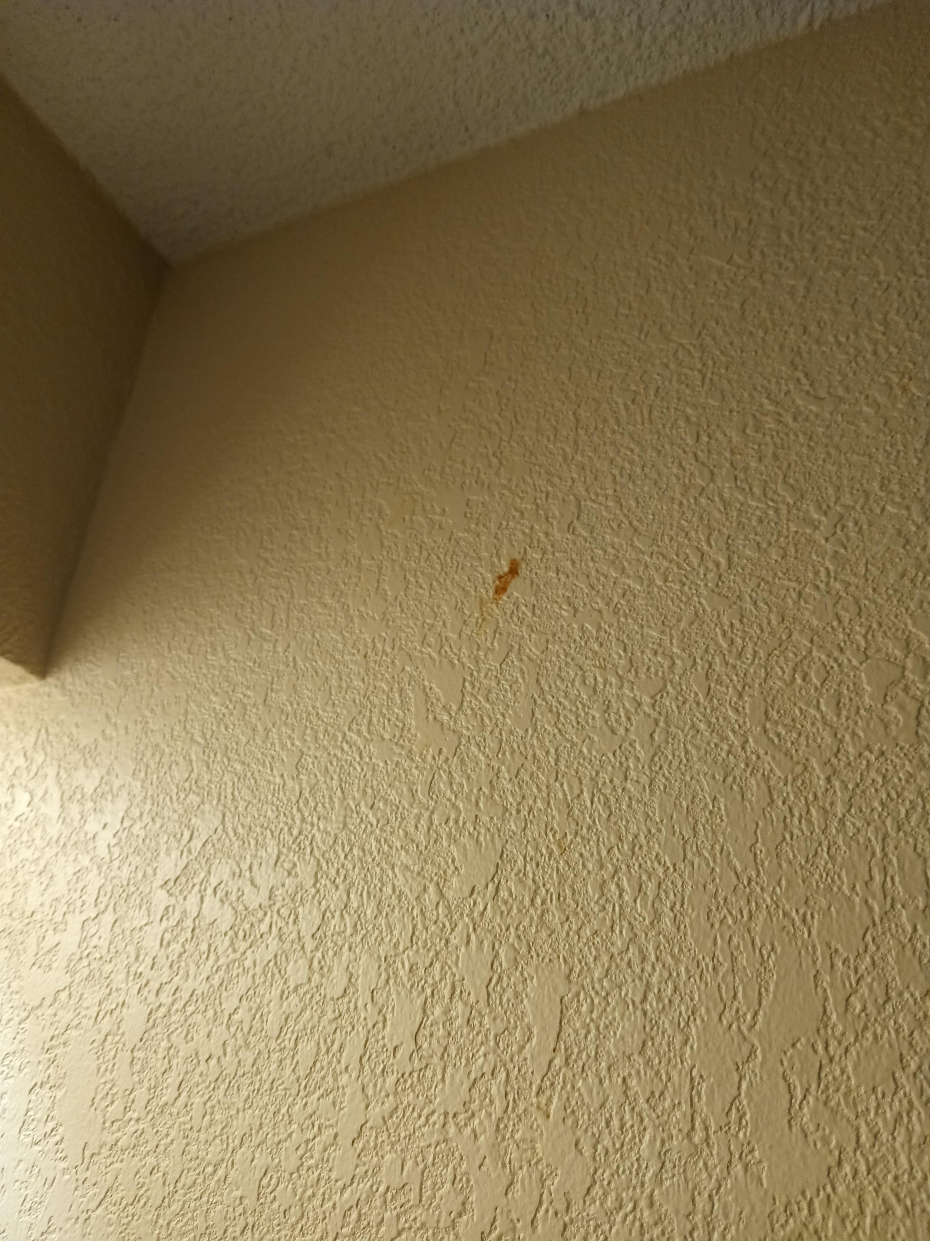 Stain on wall