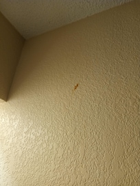 Stain on wall