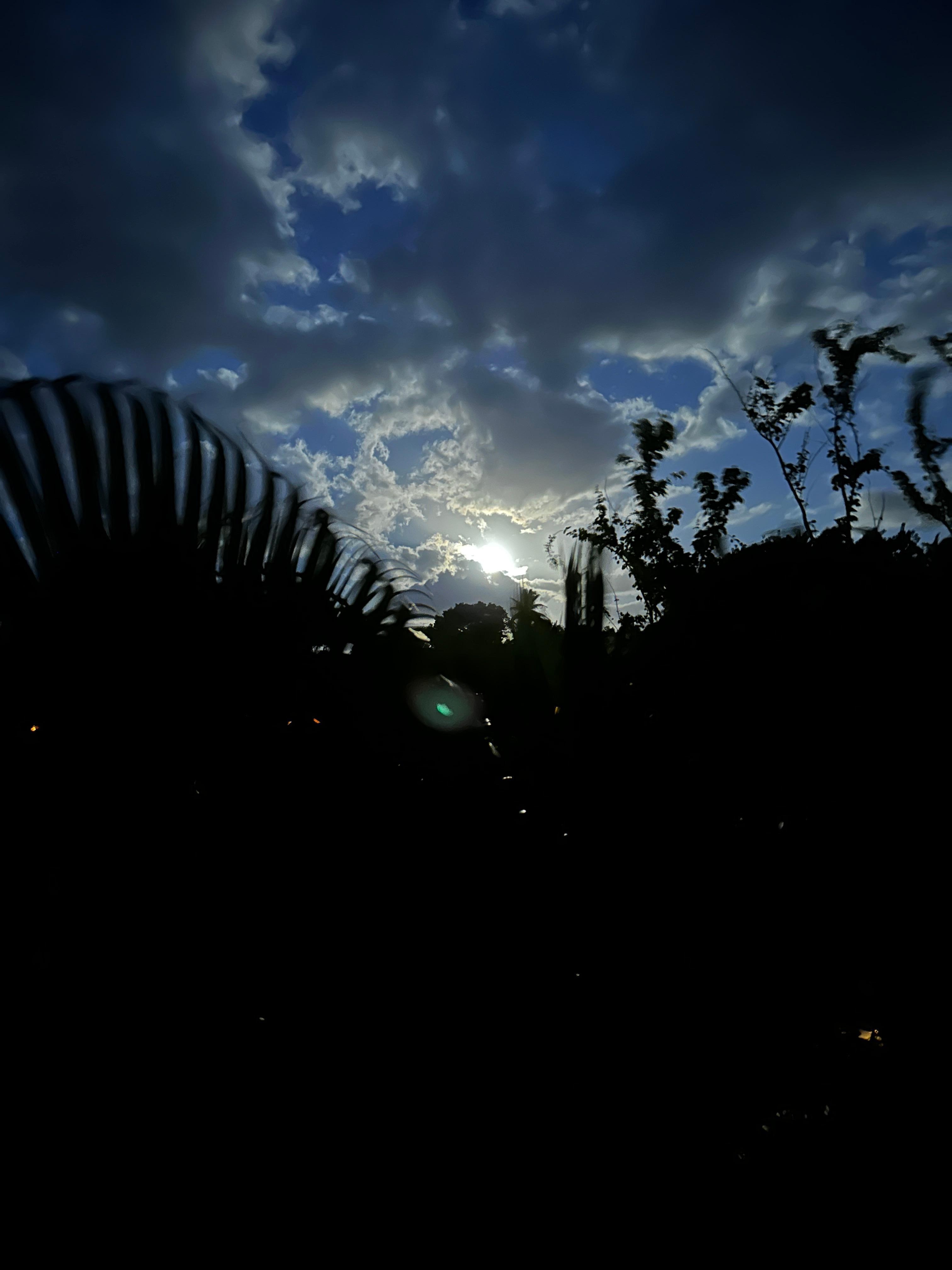 Moonlit evening  from the lanai