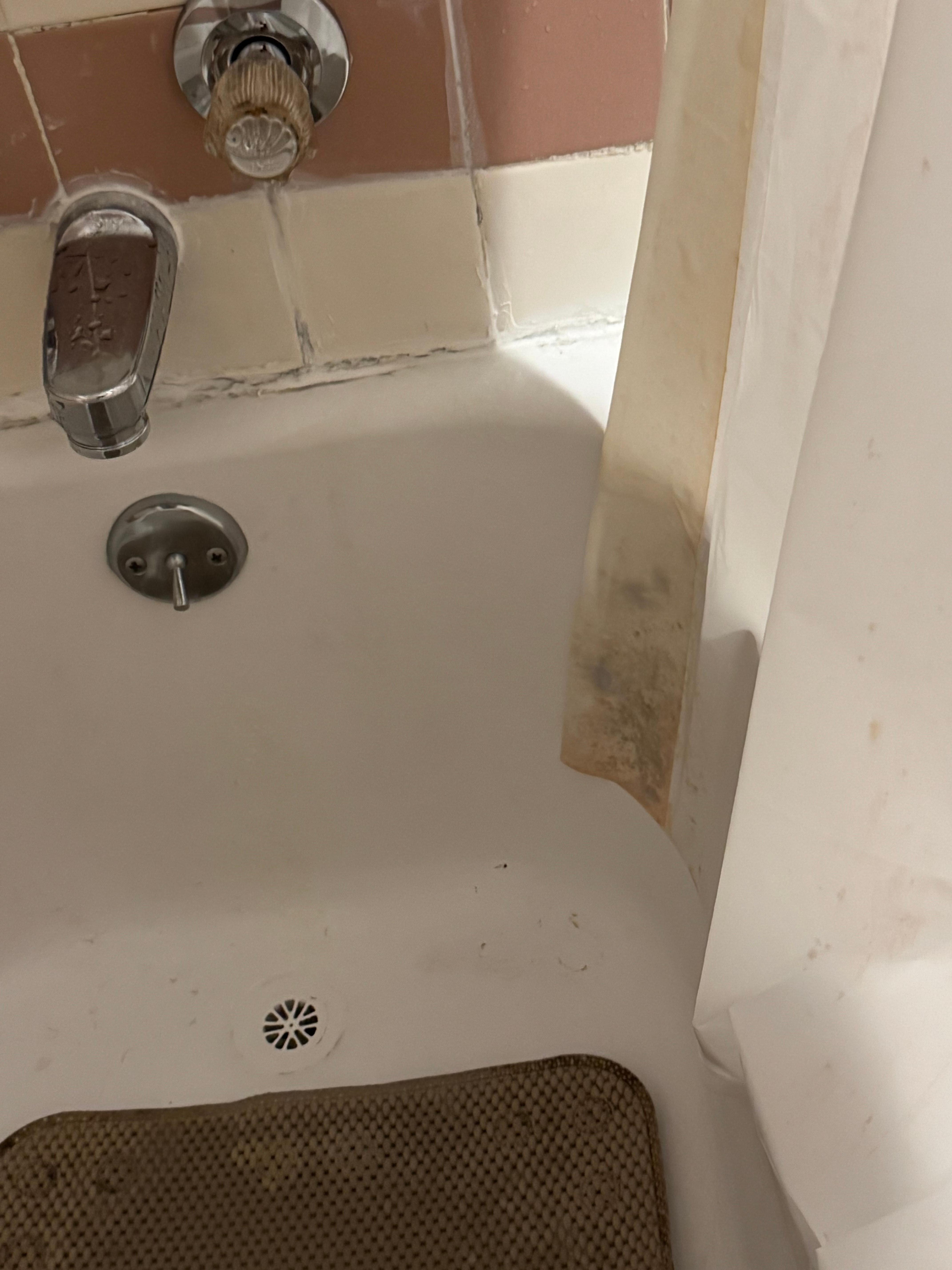 Filthy tub with mold on the shower curtain and  dirty tub and mat